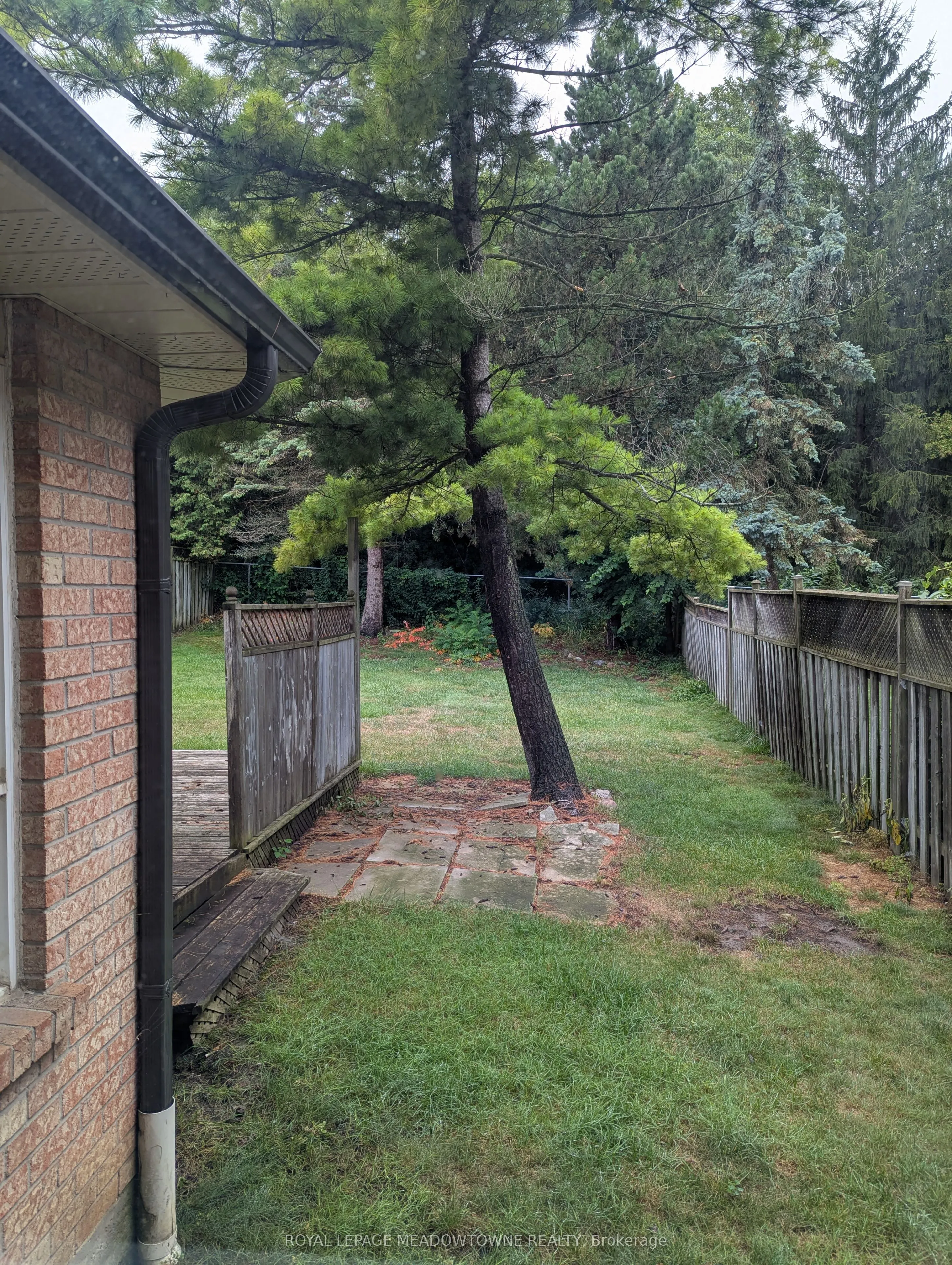 38 Bambi Trail