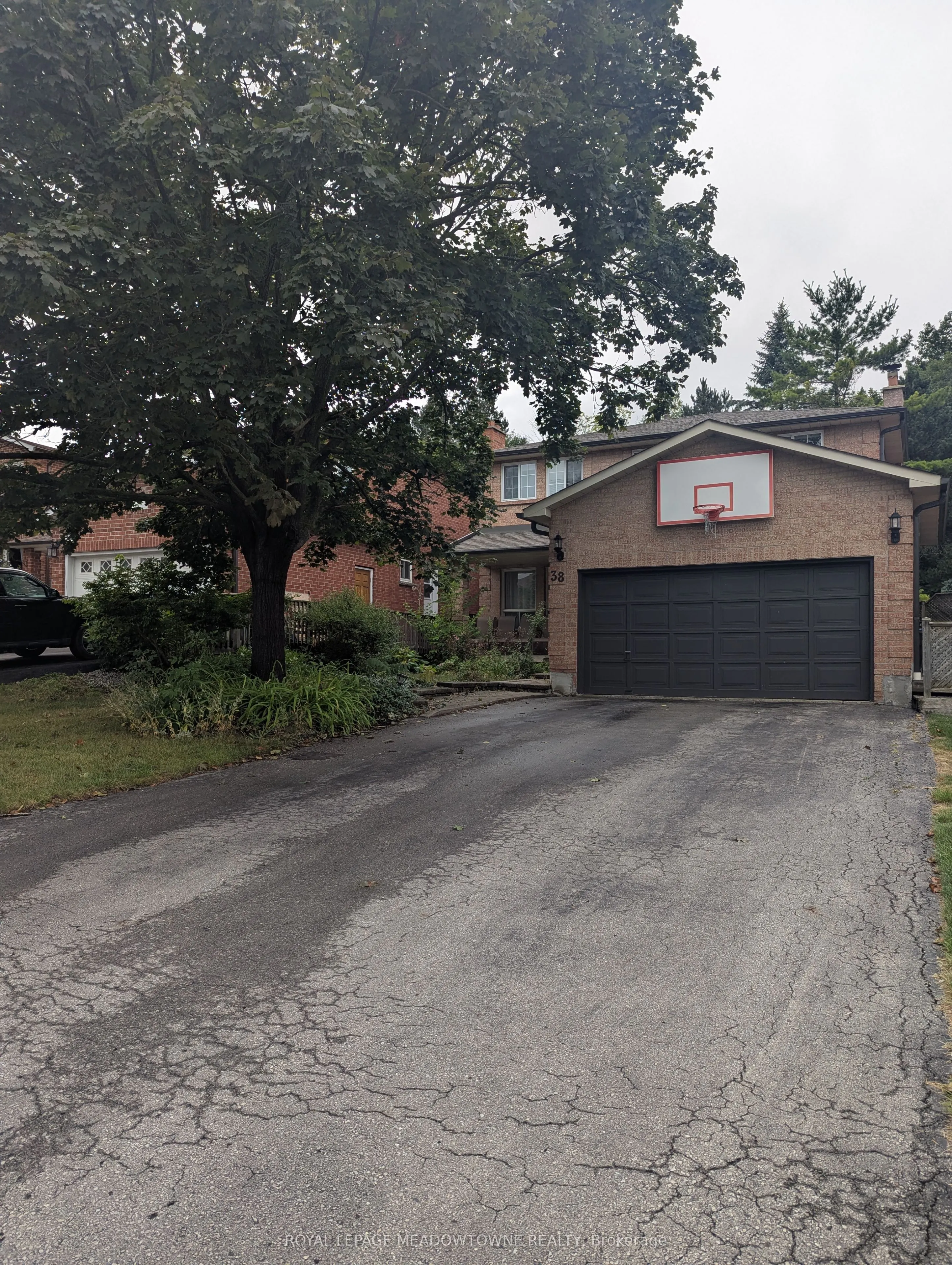 38 Bambi Trail