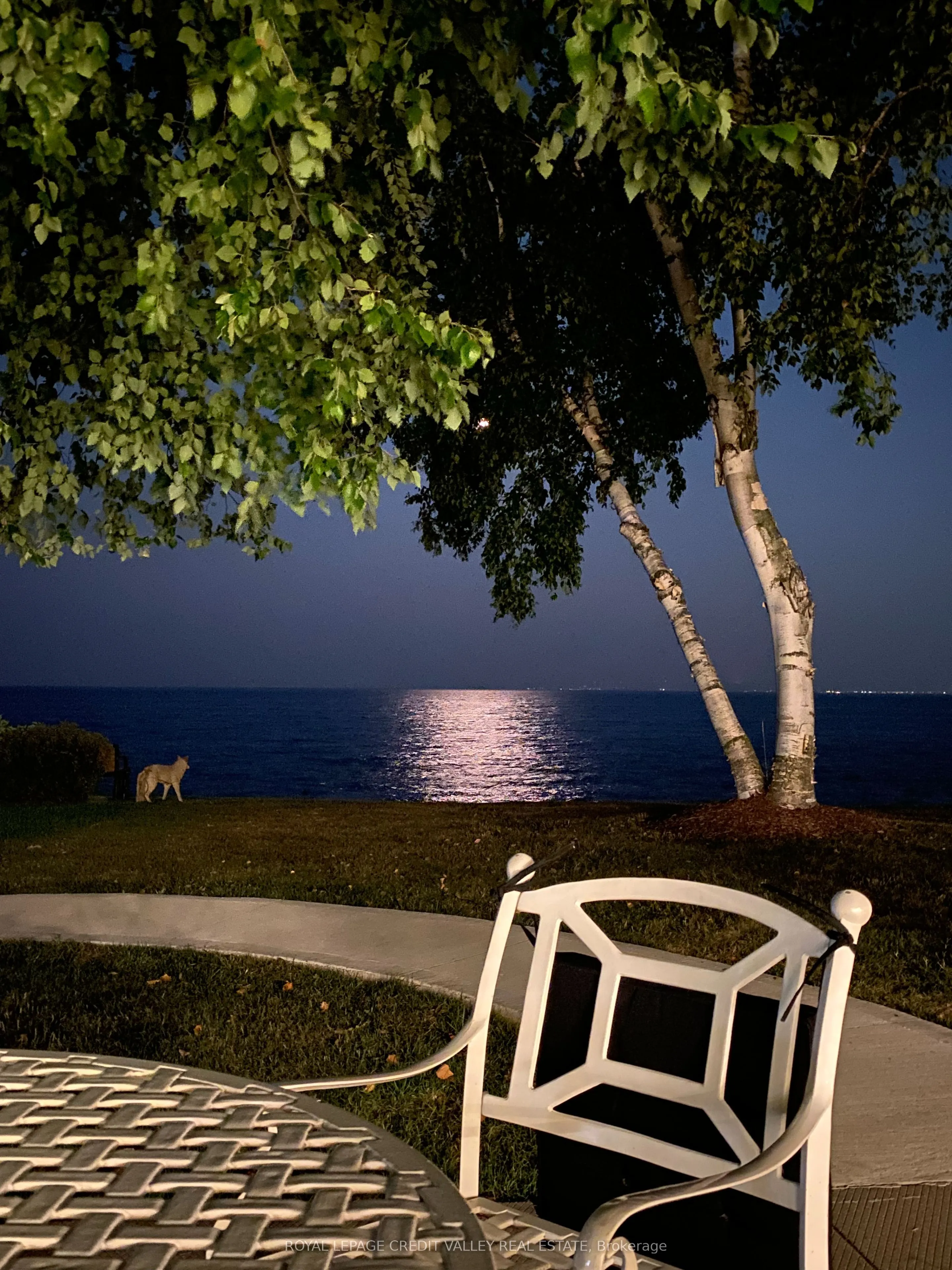 5280 Lakeshore Road, #911