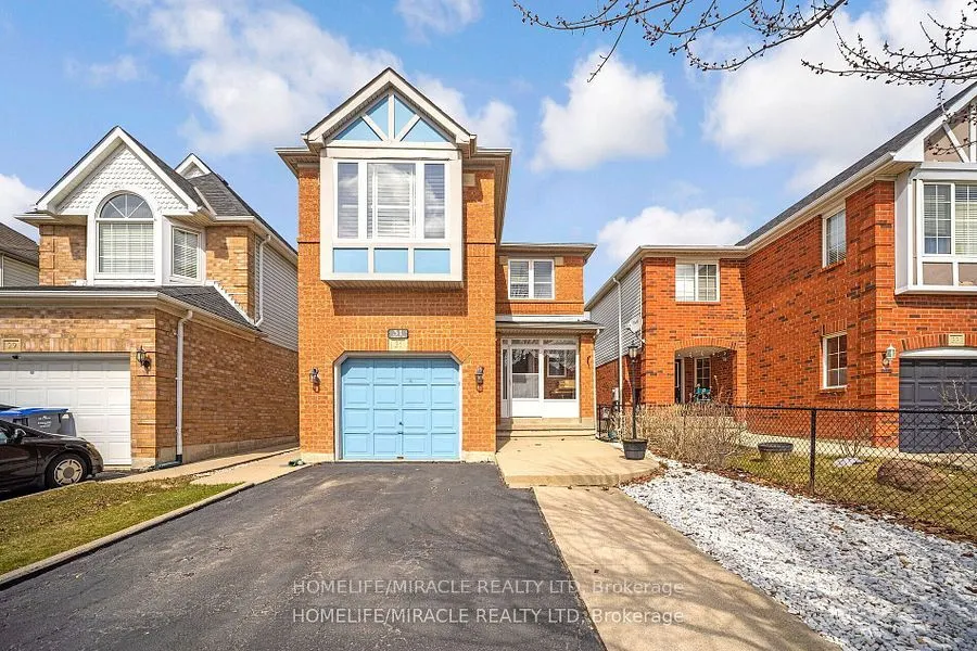 31 Larkspur