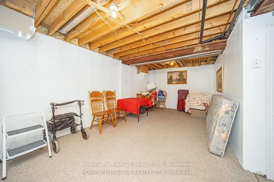 31 Larkspur