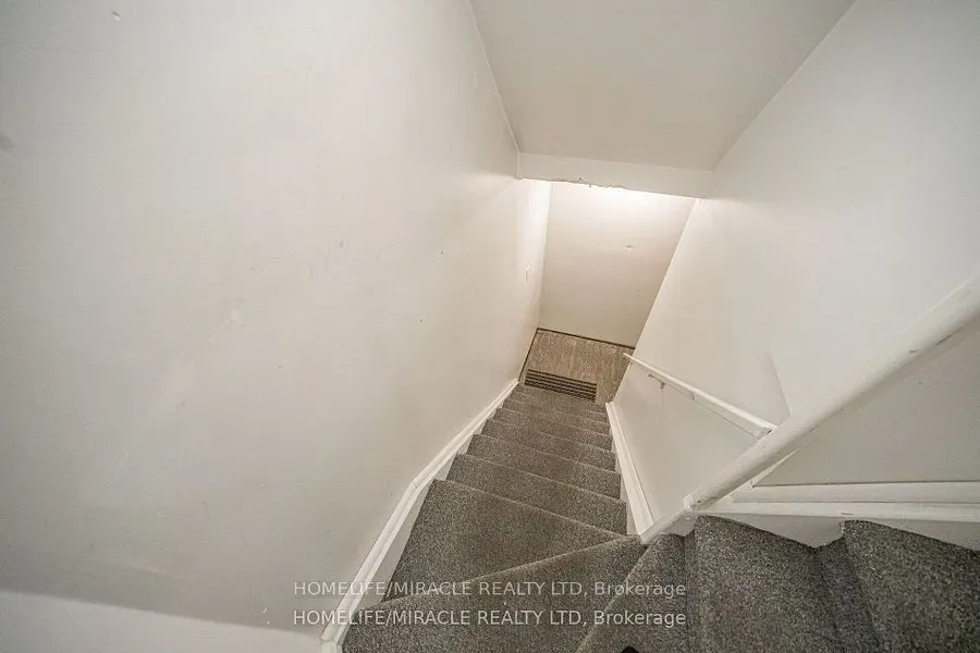 31 Larkspur