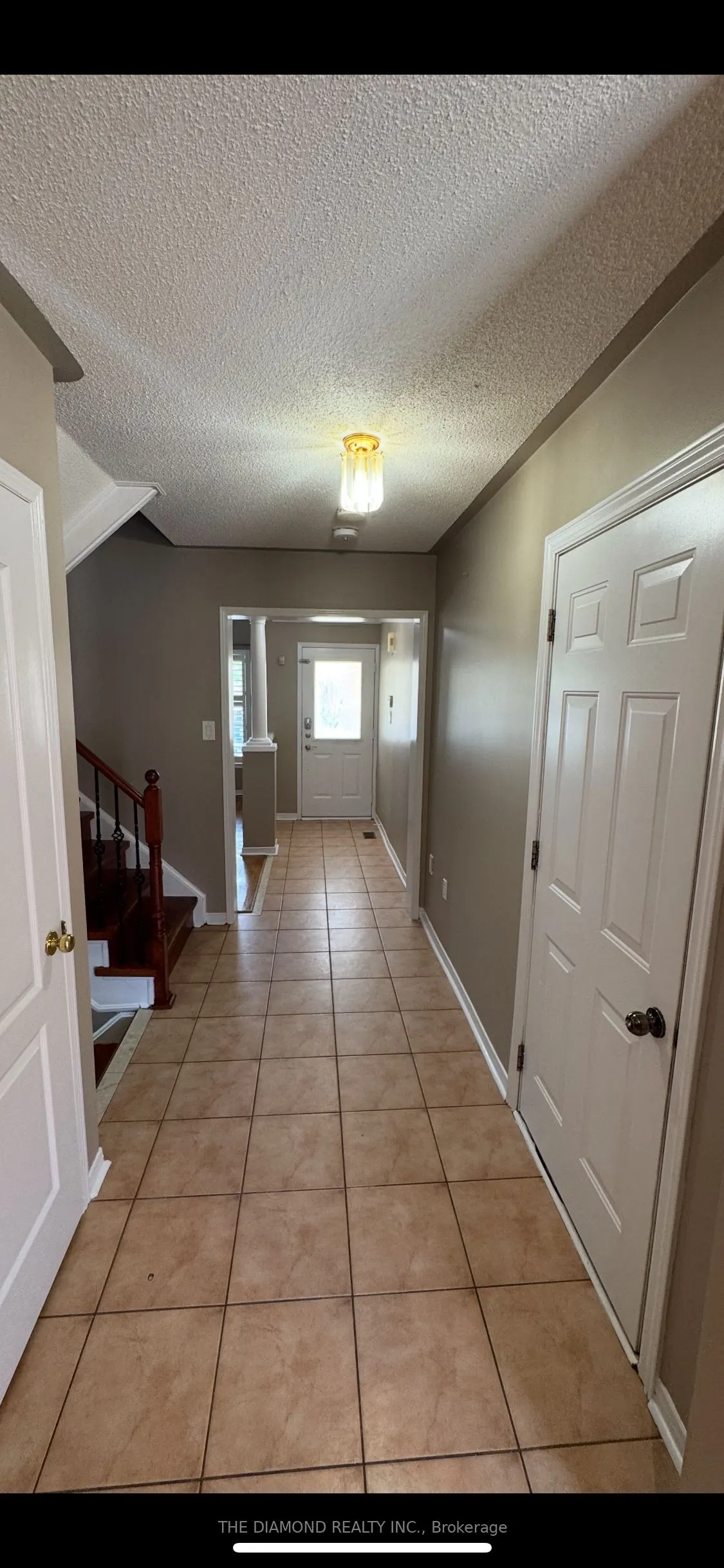 95 Giraffe Avenue