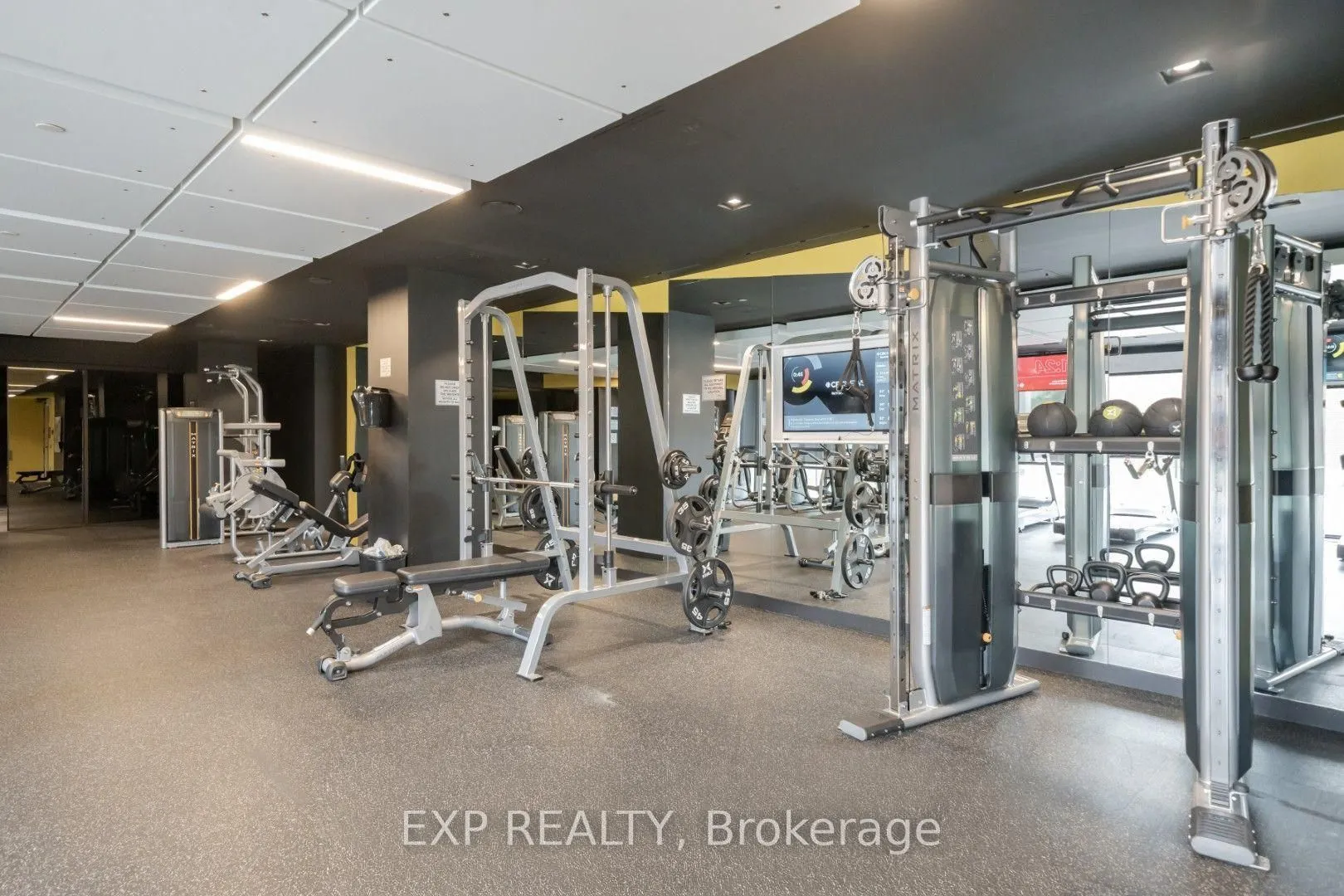 36 Zorra Street, #1502