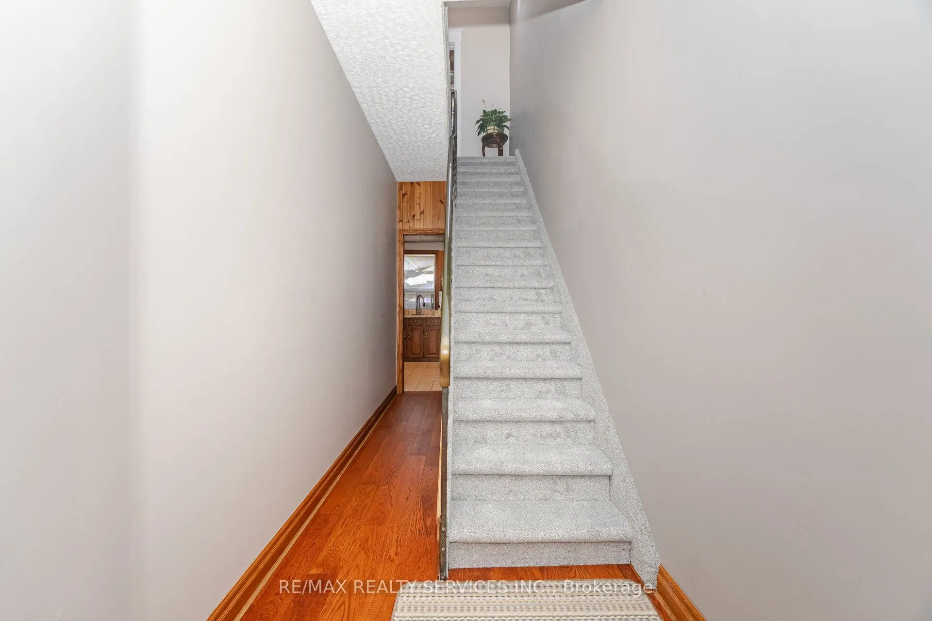 26 Ardagh Street