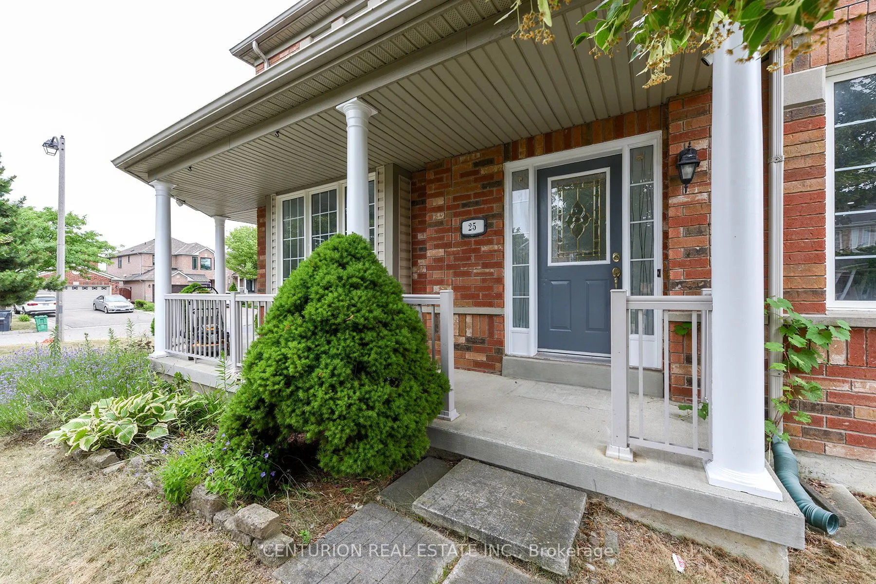 25 Blackcherry Lane