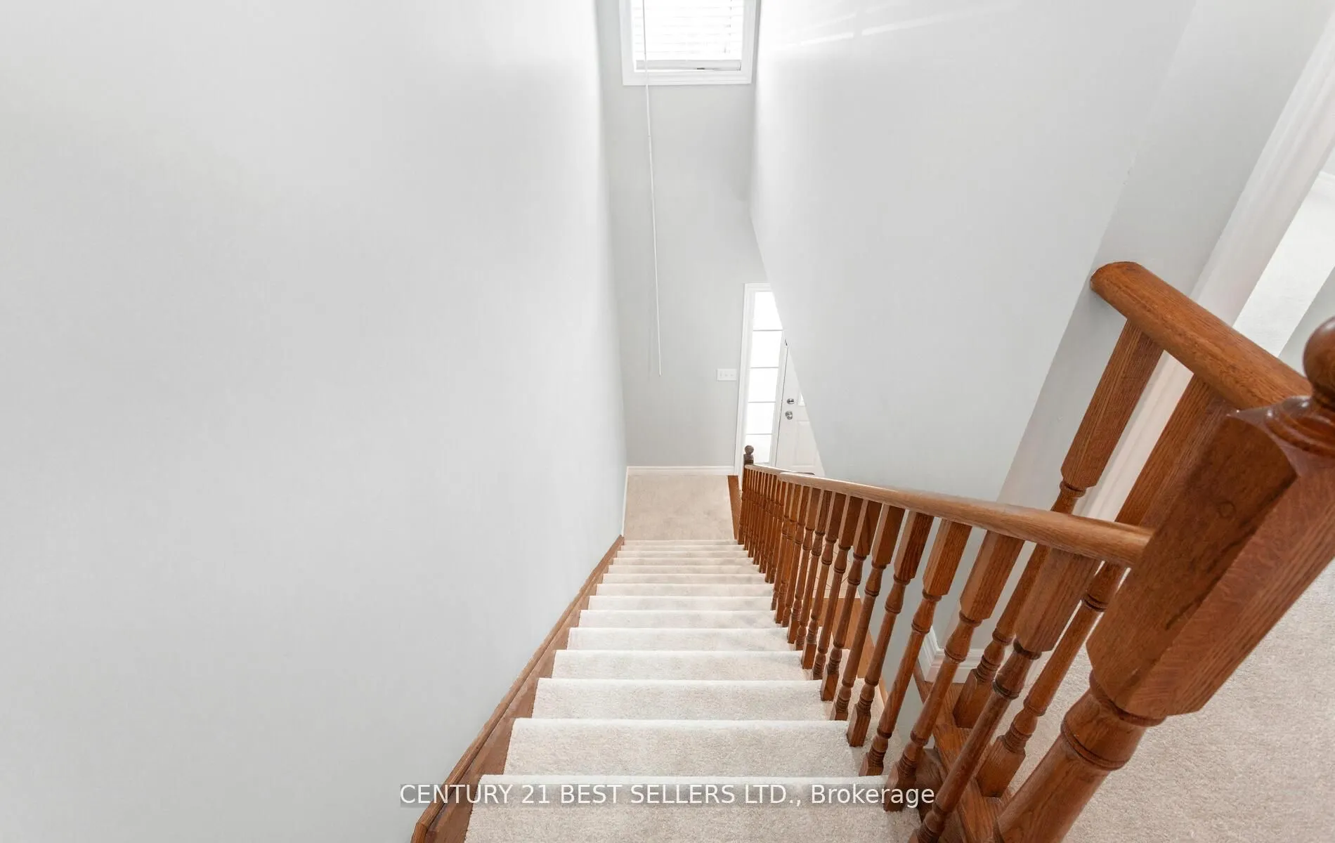 222 Andrews Trail