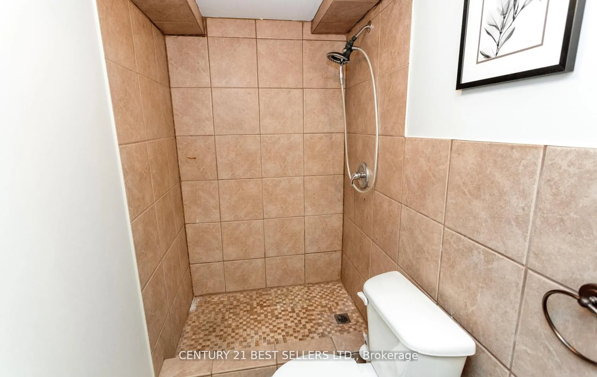 222 Andrews Trail