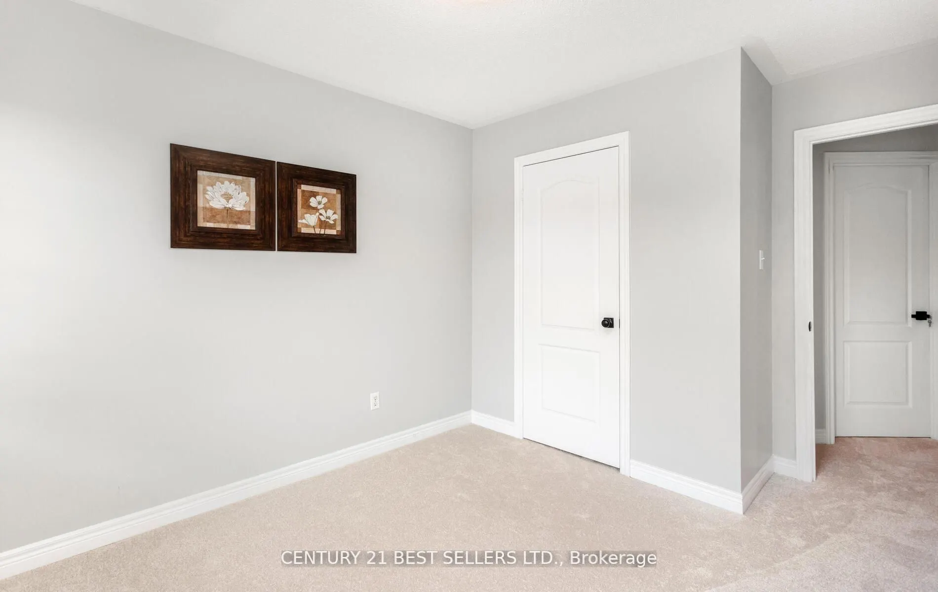222 Andrews Trail