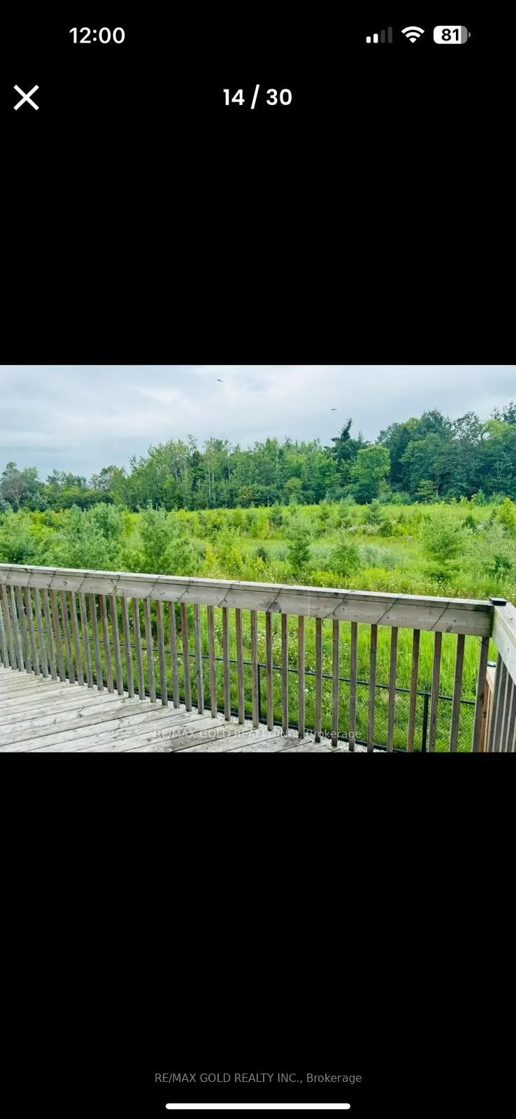46 Mincing Trail