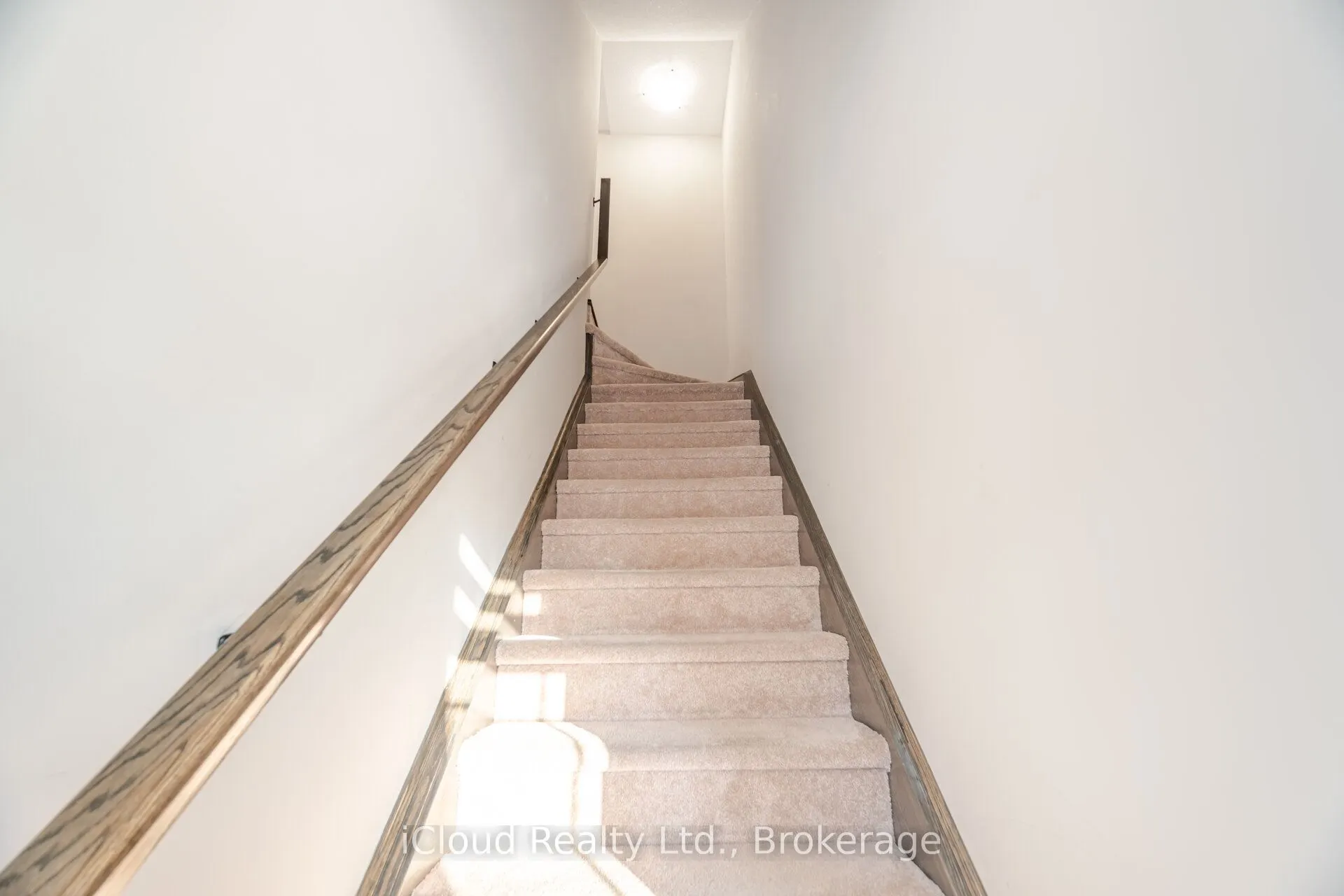 445 Ontario Street, #91