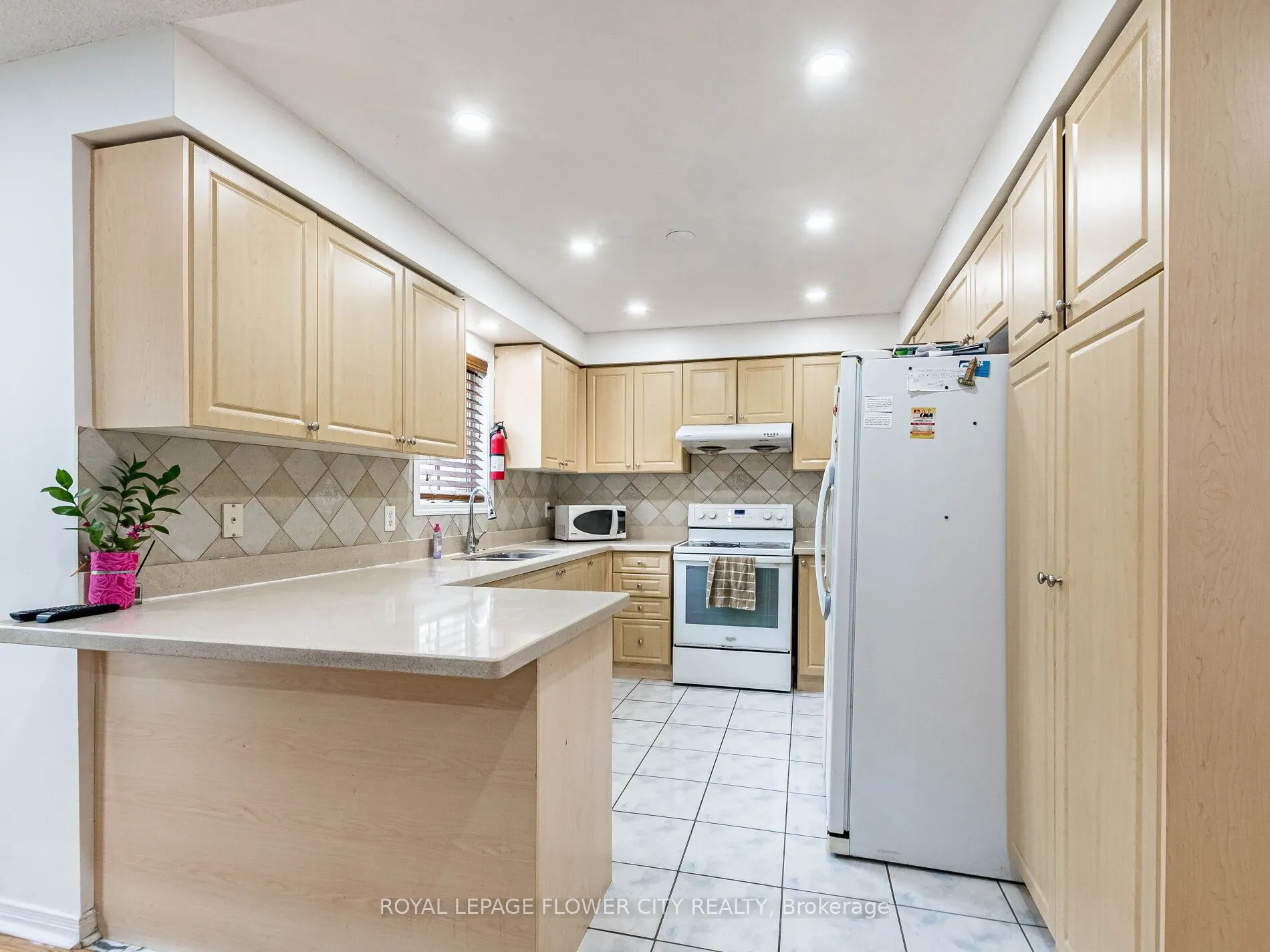 58 Pertosa Drive