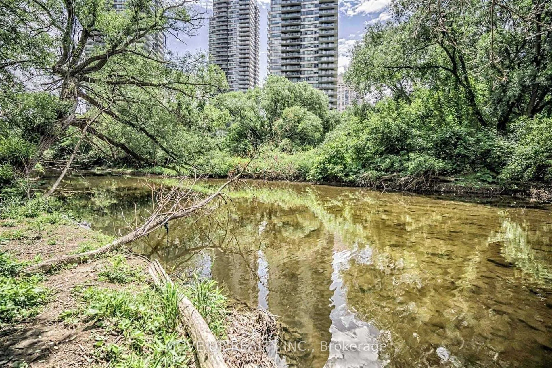 36 Park Lawn Road, #3202