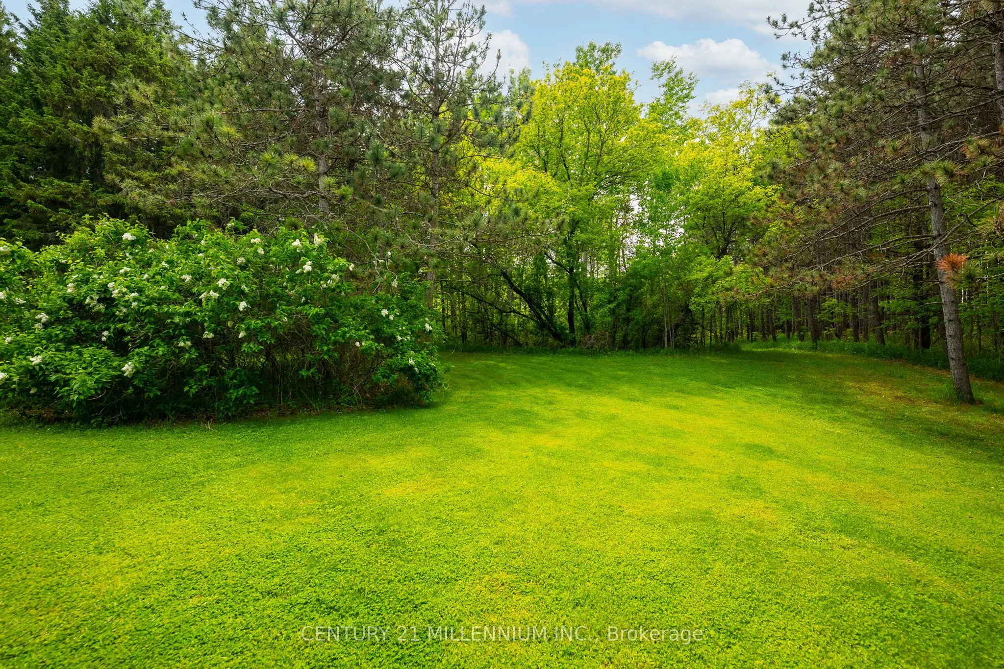 7302 Coolihans Side Road
