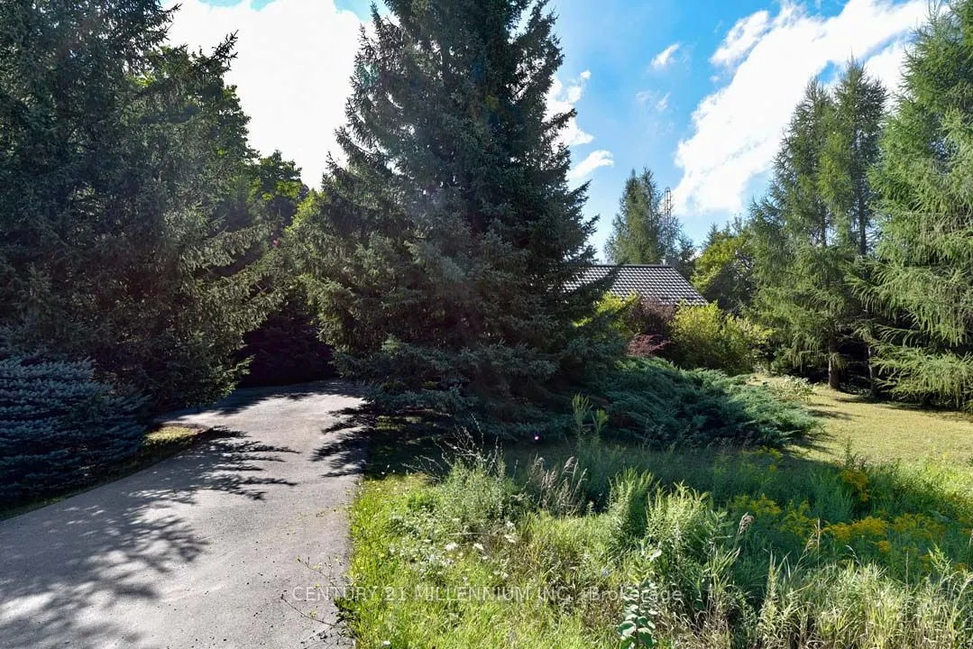 707 Charleston Side Road
