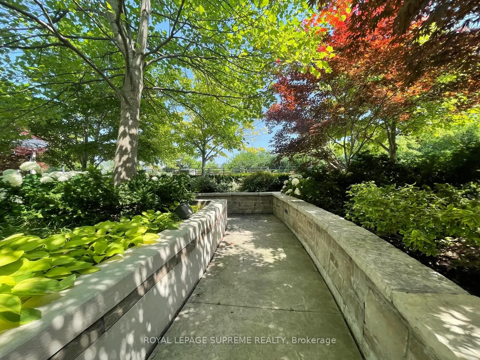 1135 Royal York Road, #503