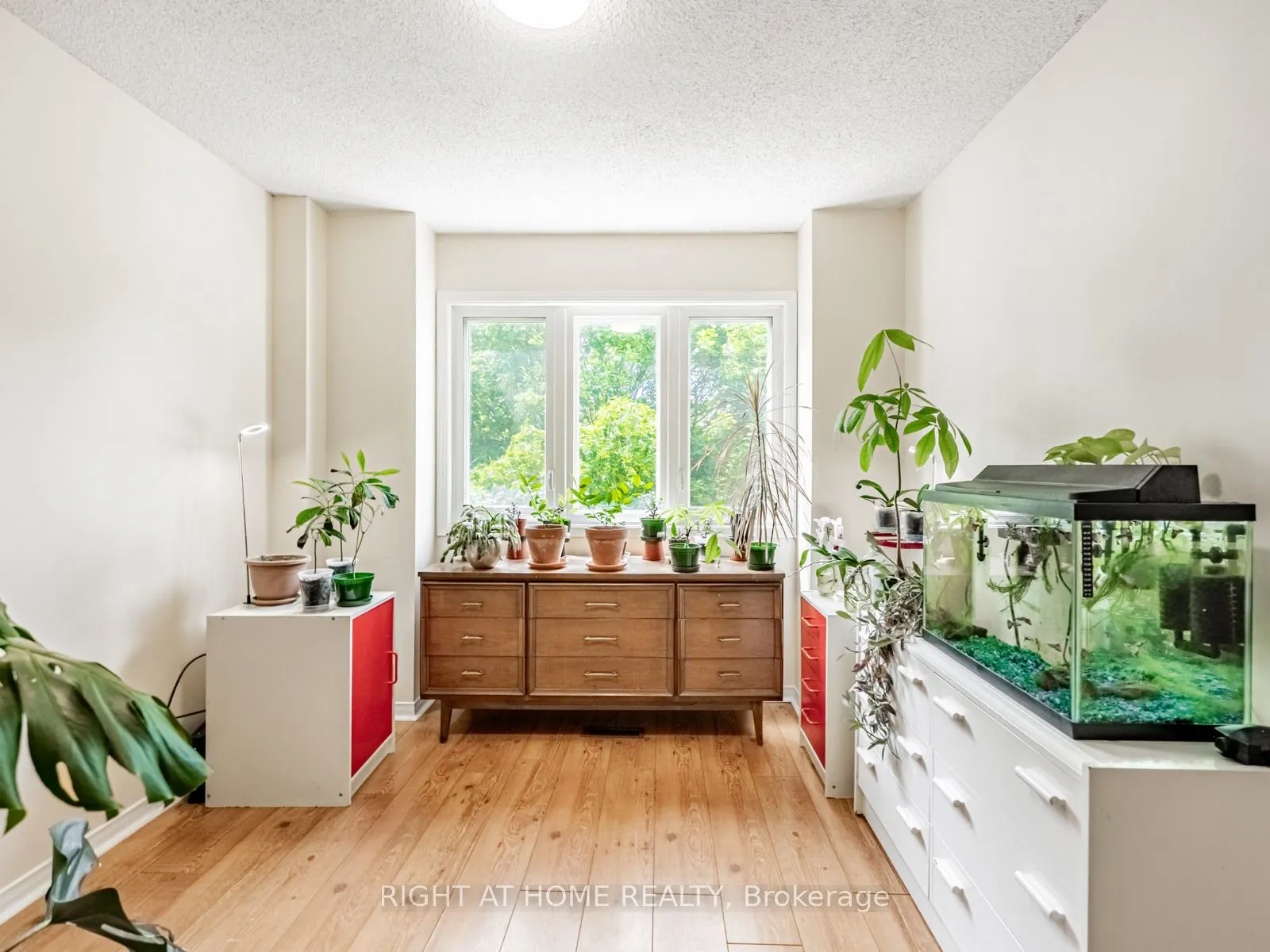 1129 Beechnut Road