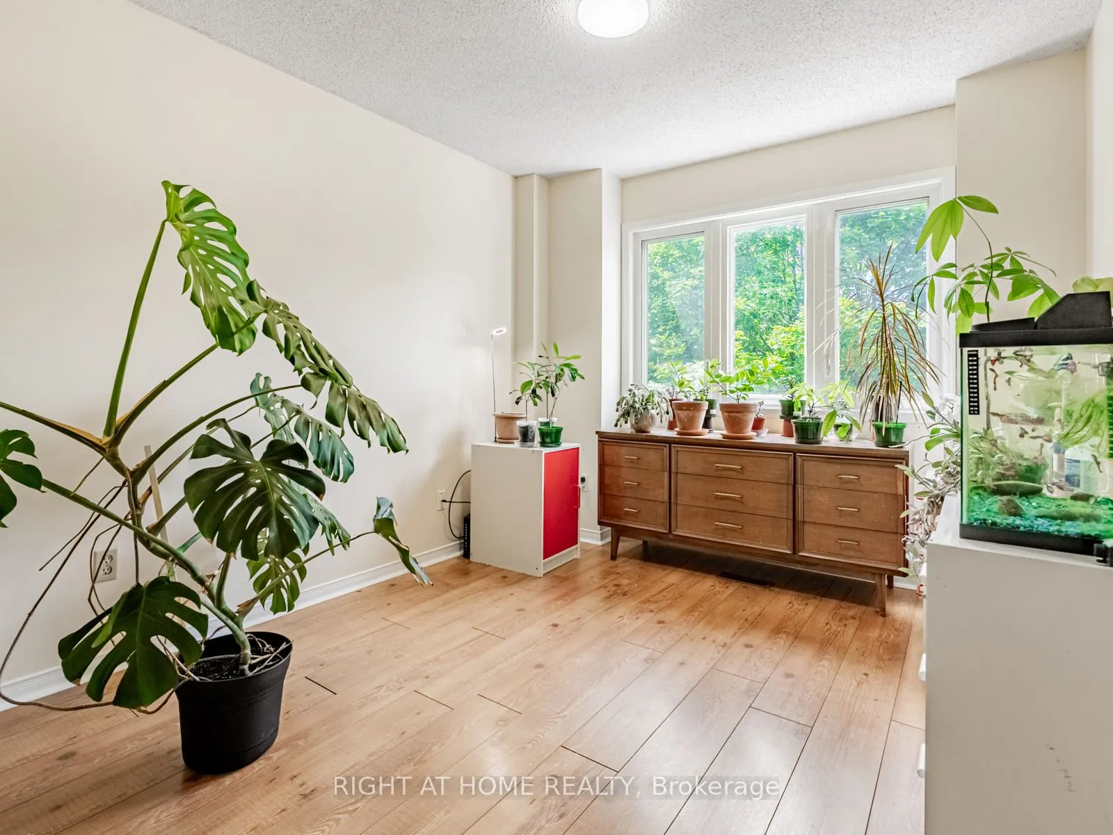 1129 Beechnut Road