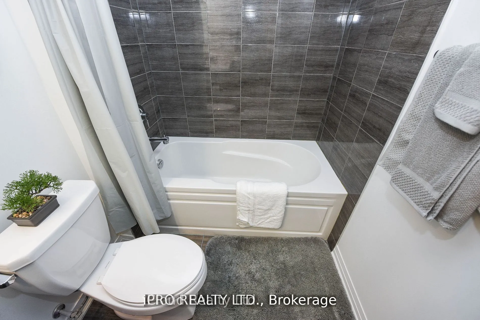 95 Dundas Street, #004
