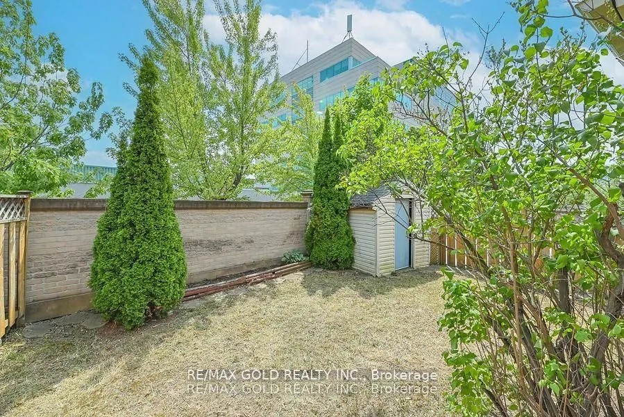43 Giraffe Avenue