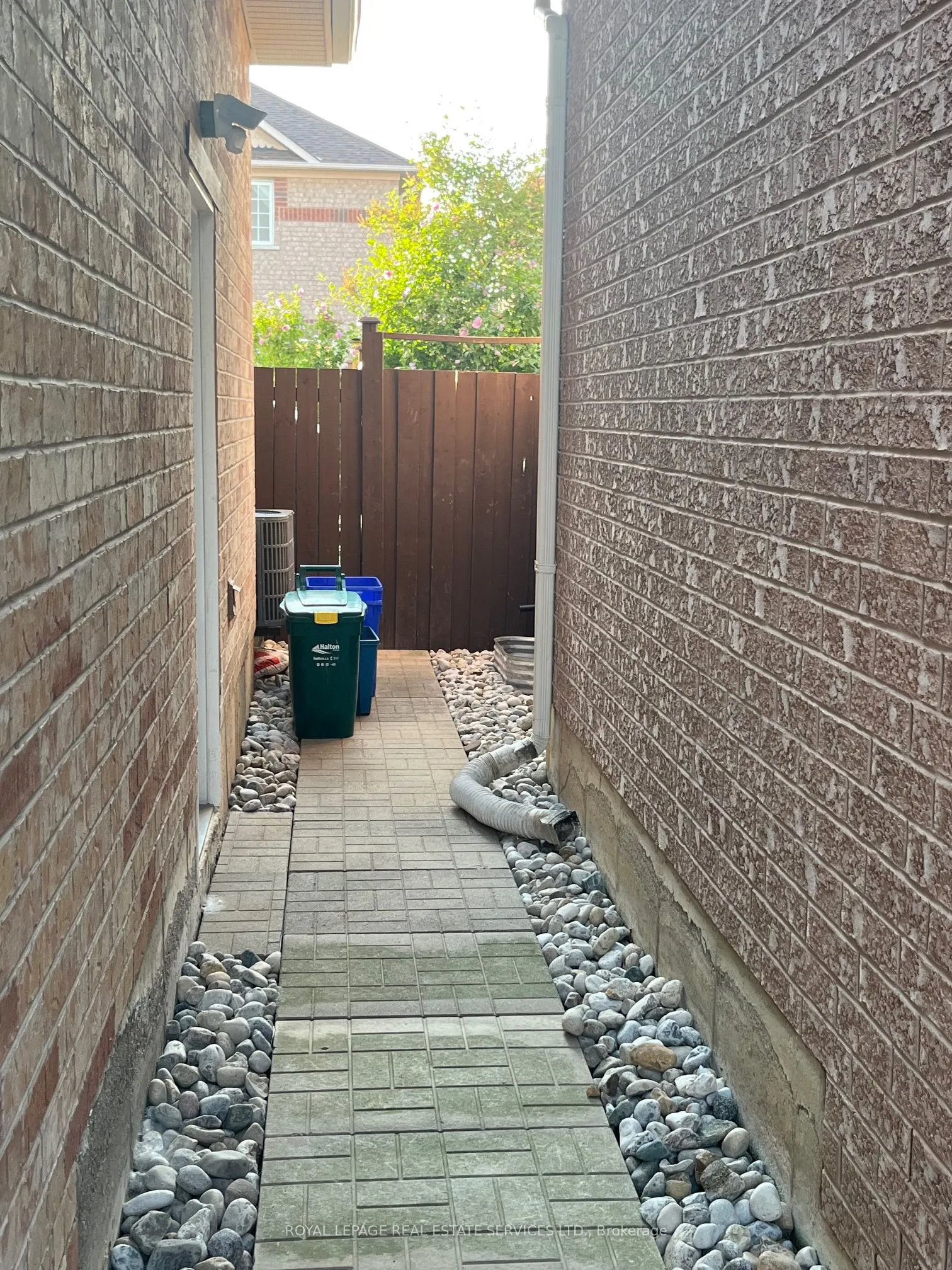 1105 Field Drive, #(Basement)