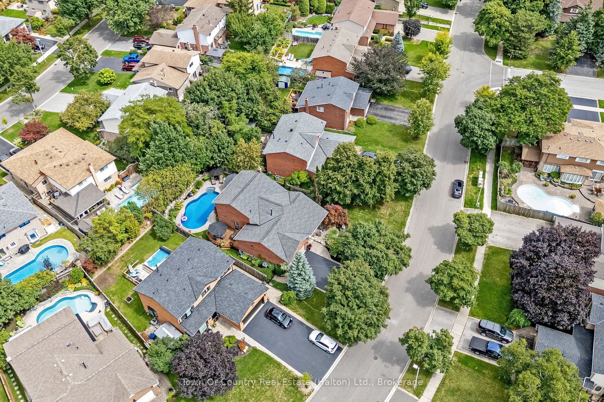 491 White Drive