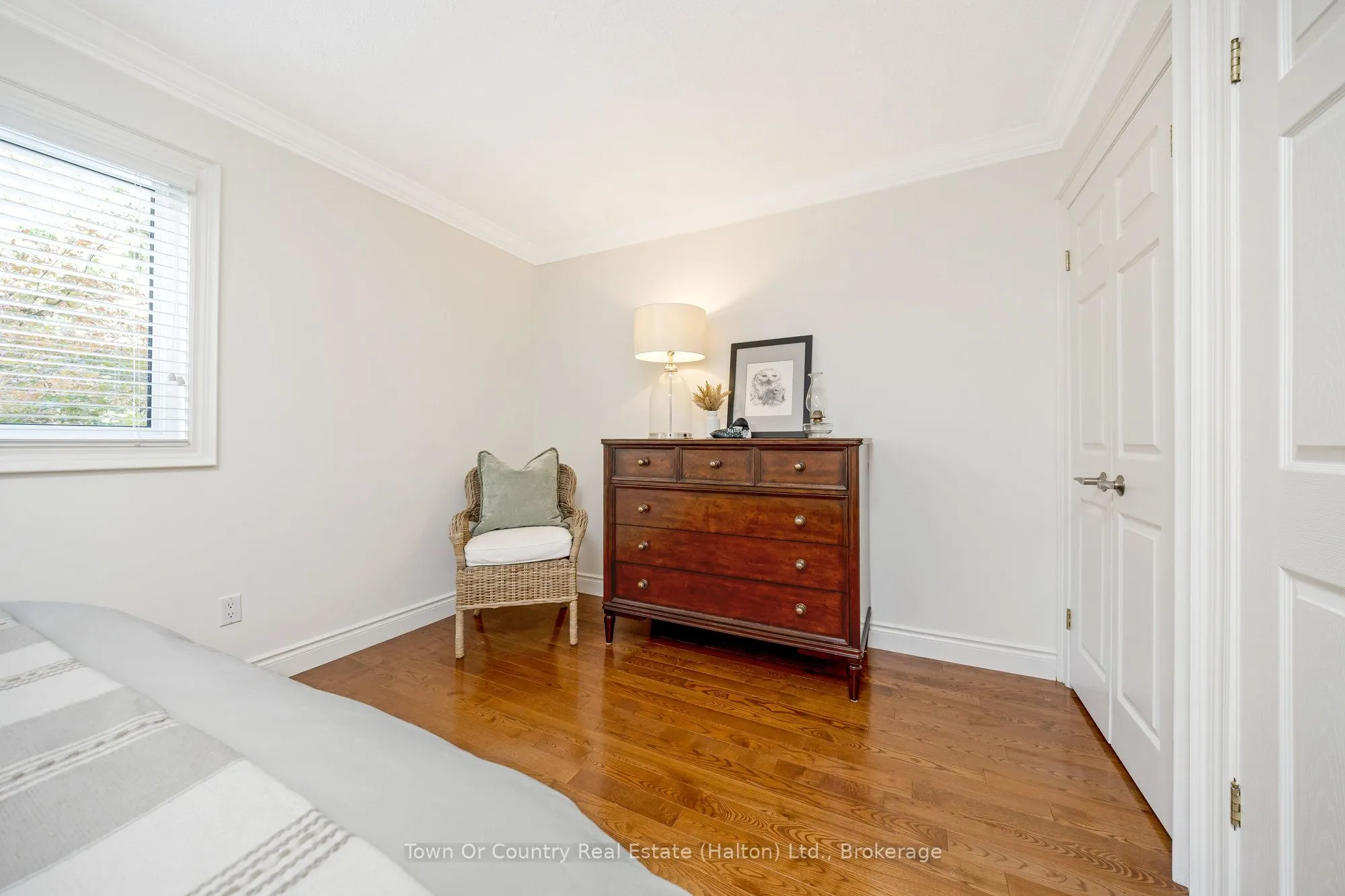 491 White Drive