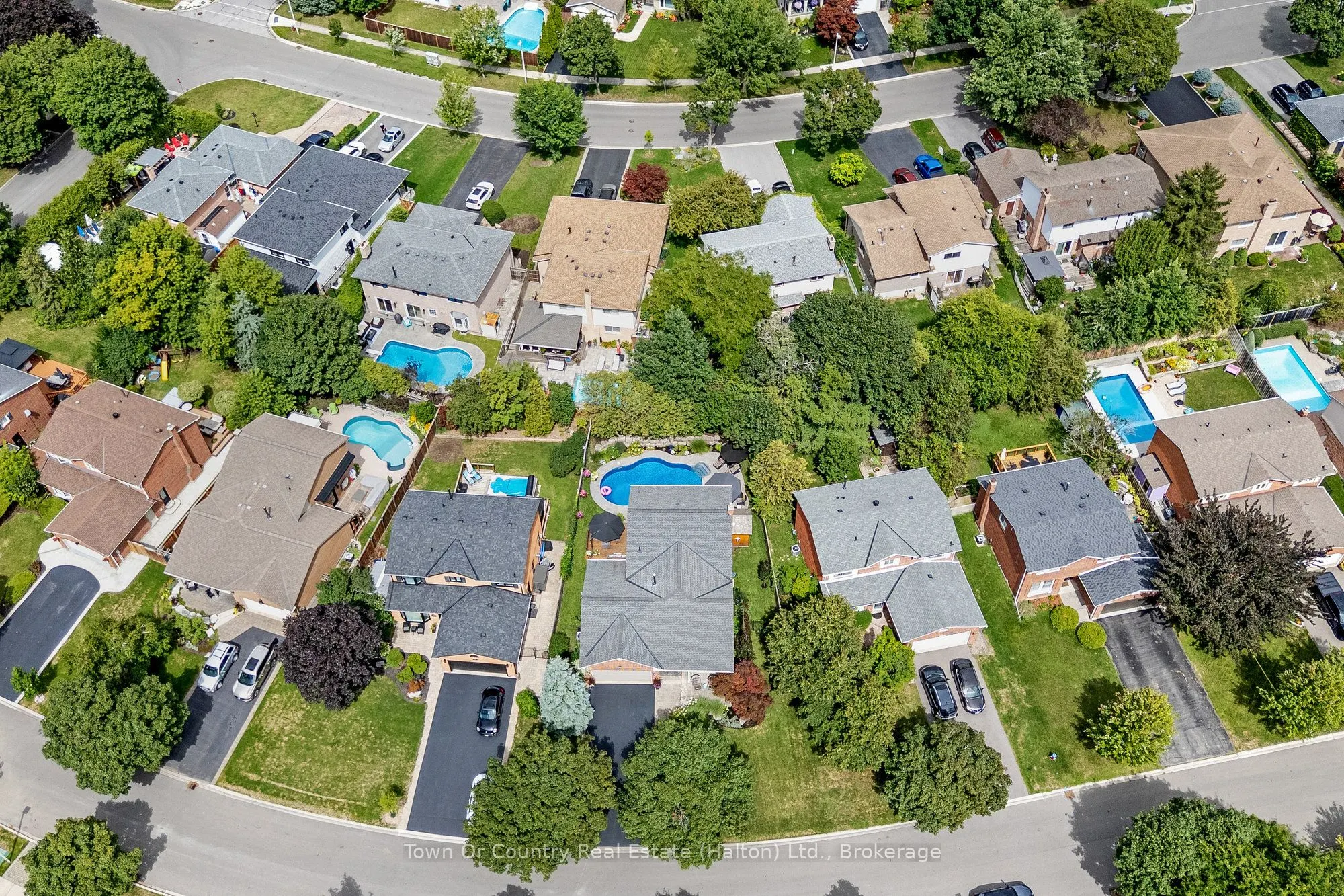 491 White Drive