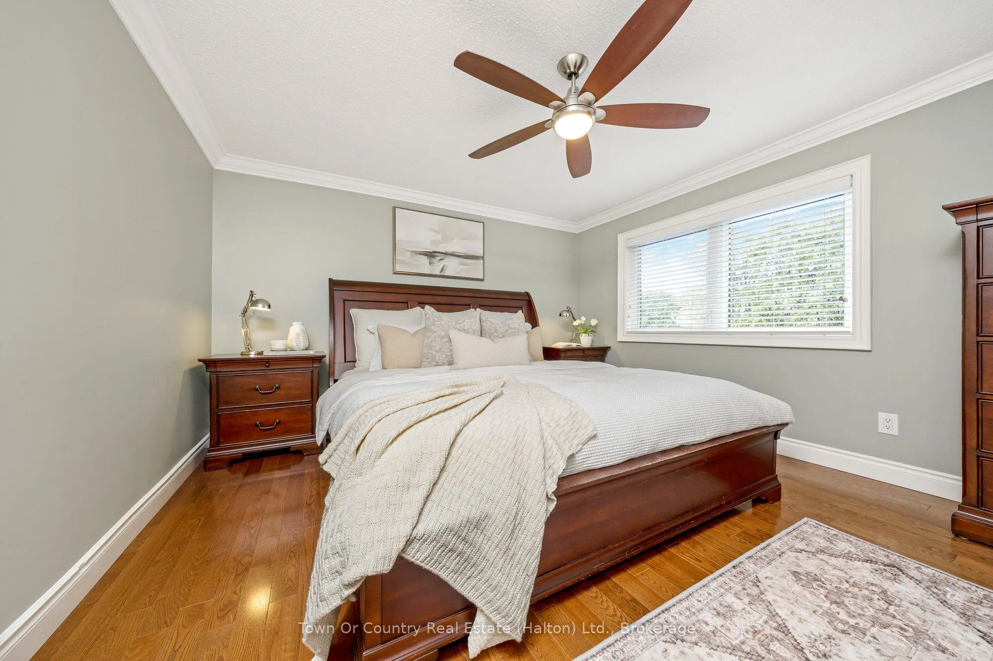 491 White Drive