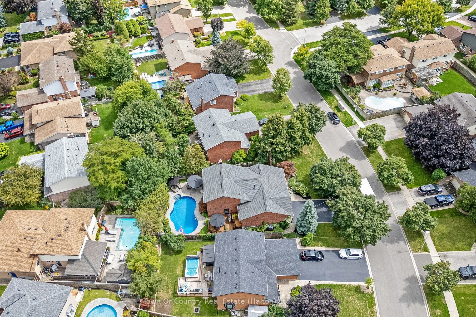 491 White Drive