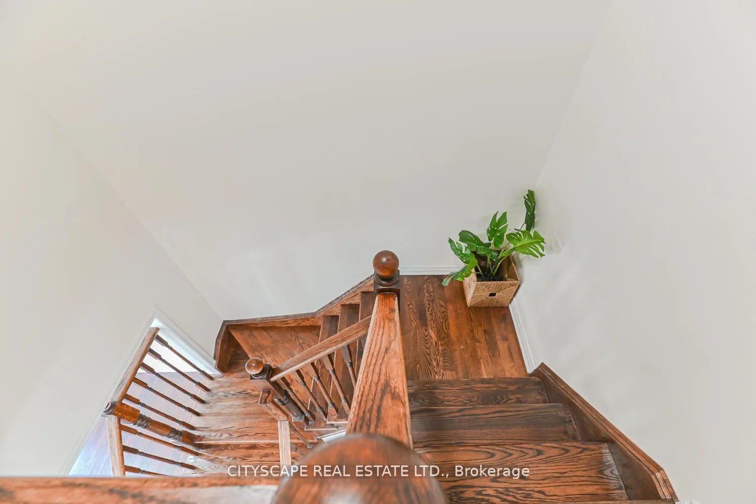 553 Pharo Point