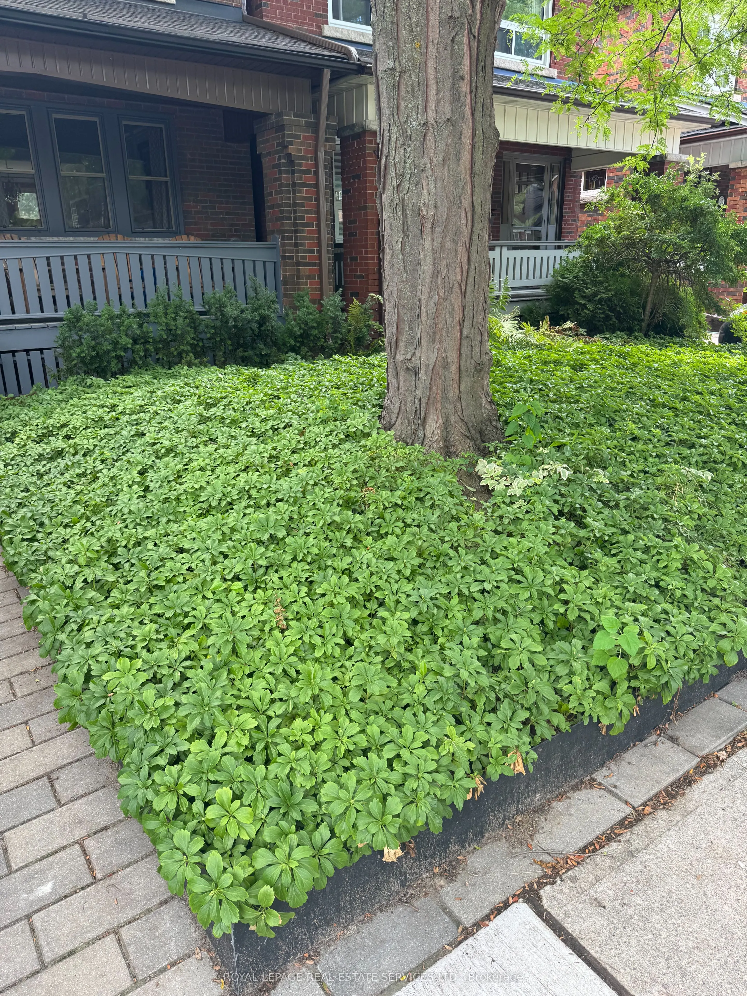 4 Harshaw Avenue, #2