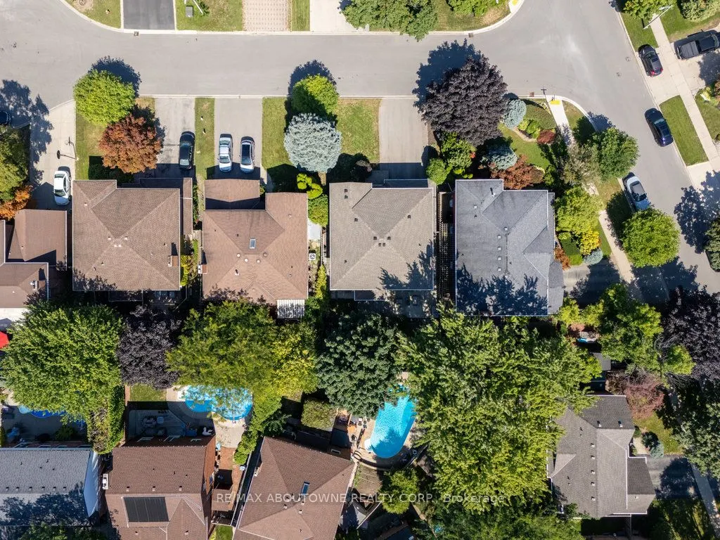 542 Hambling Court