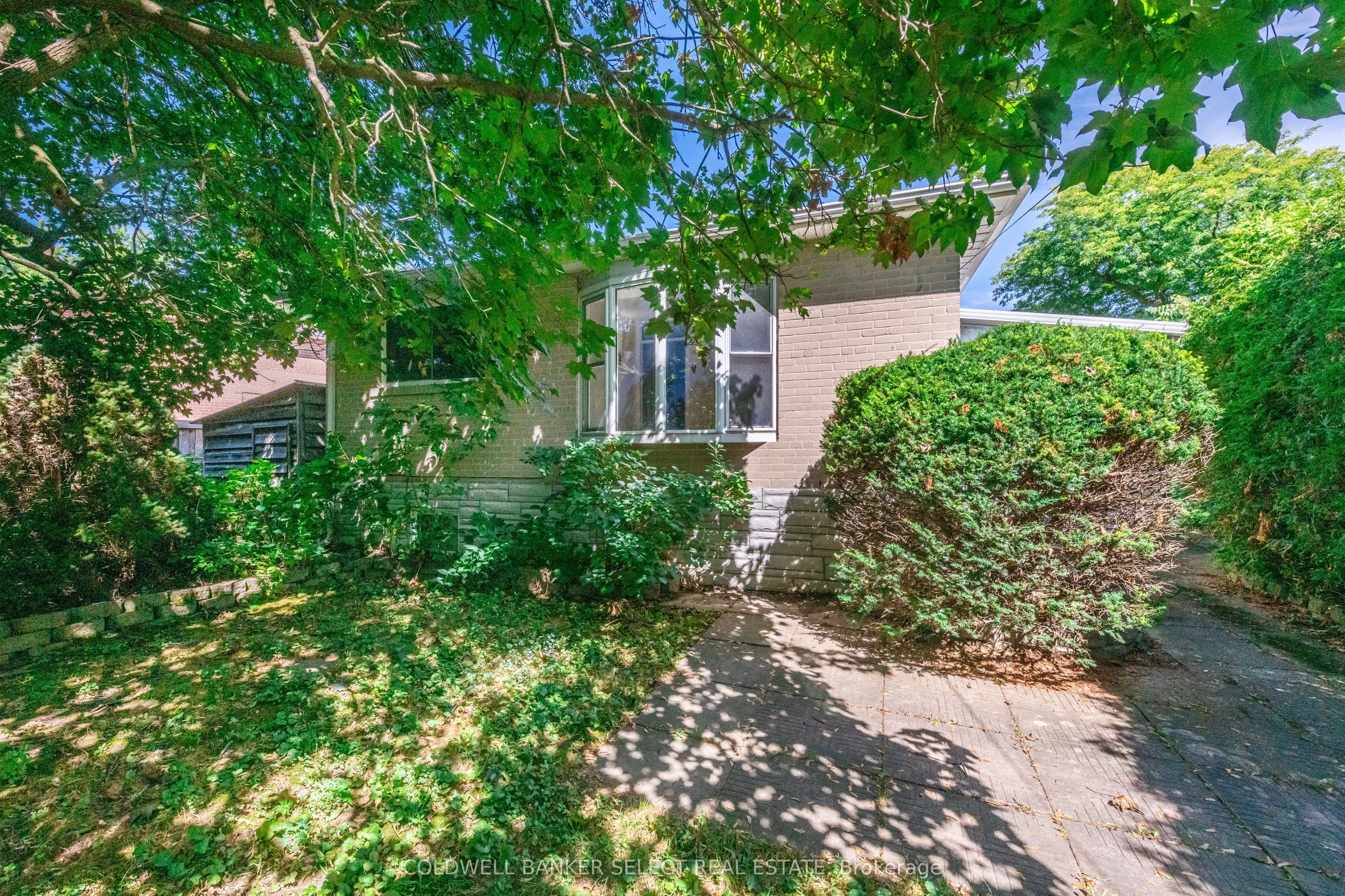 8 Millview Court