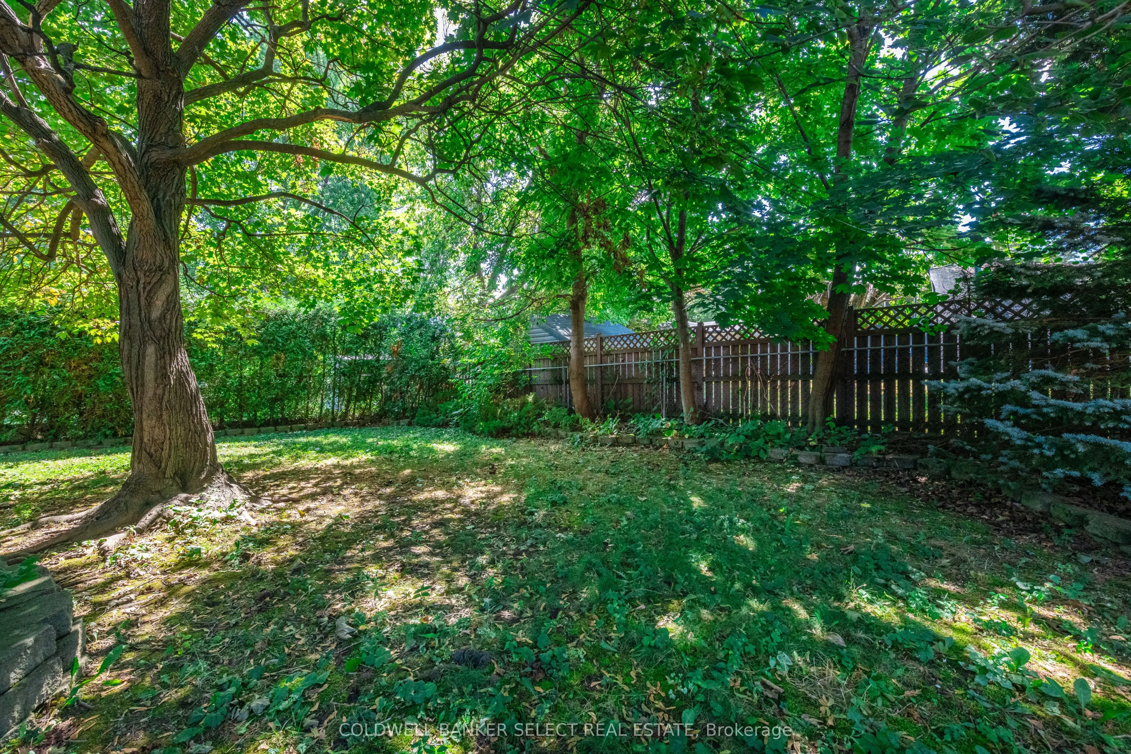 8 Millview Court