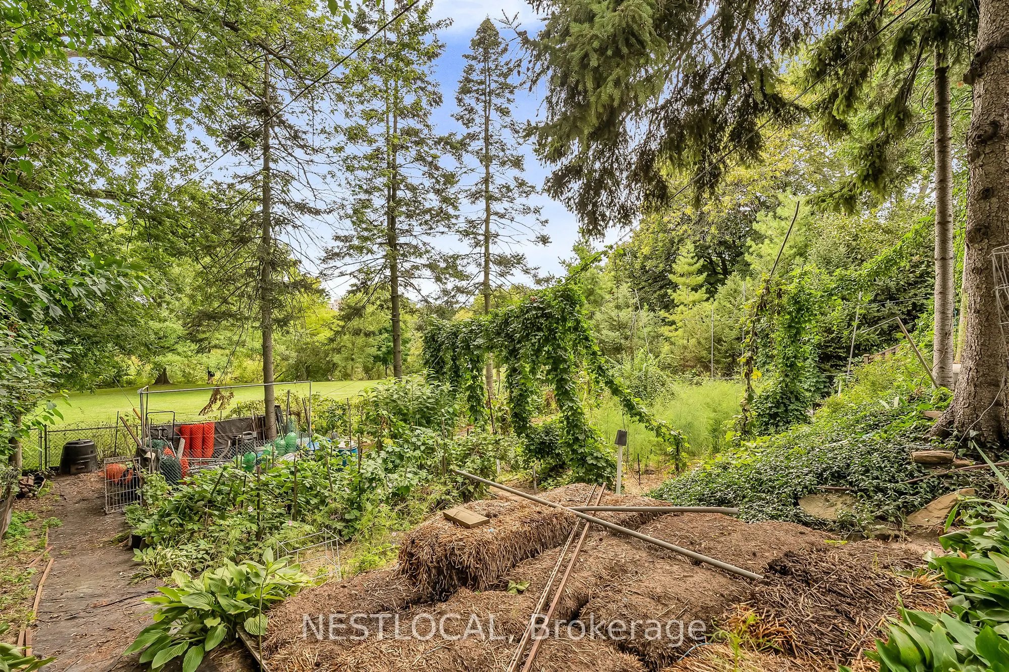 37 Enfield Avenue