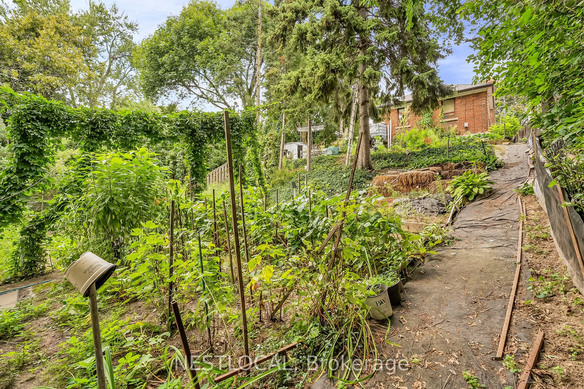 37 Enfield Avenue