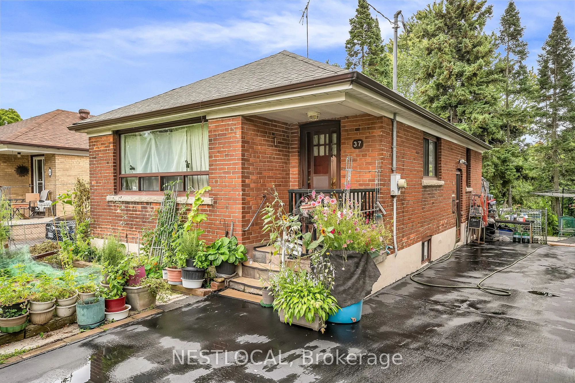 37 Enfield Avenue
