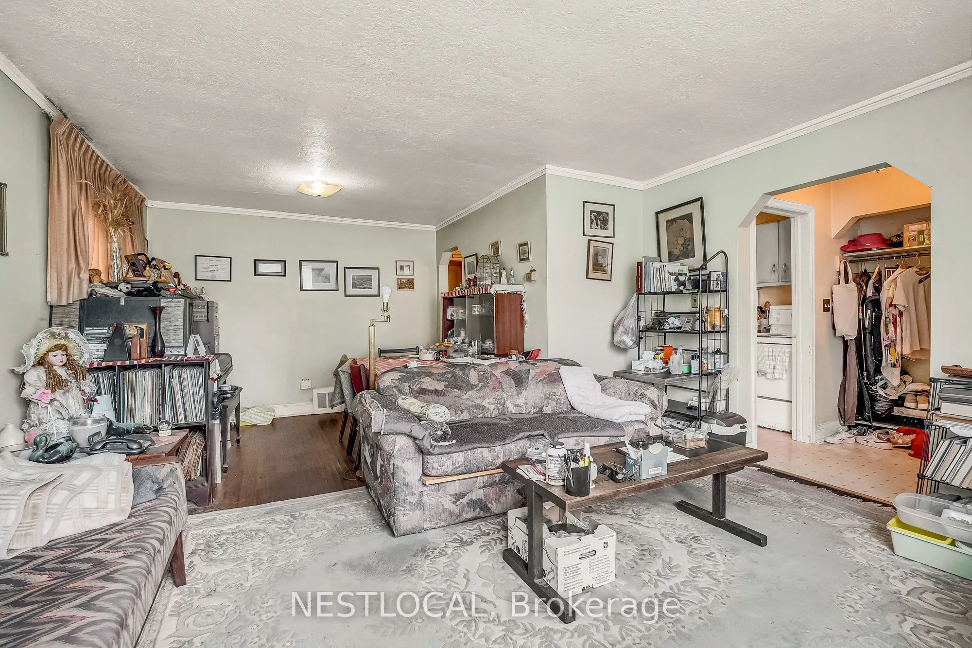 37 Enfield Avenue