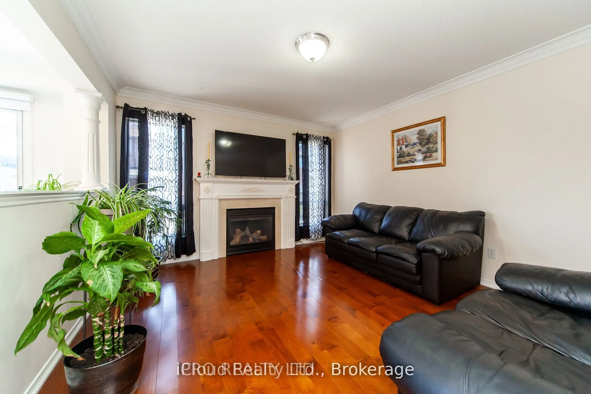3391 Crimson King Circle