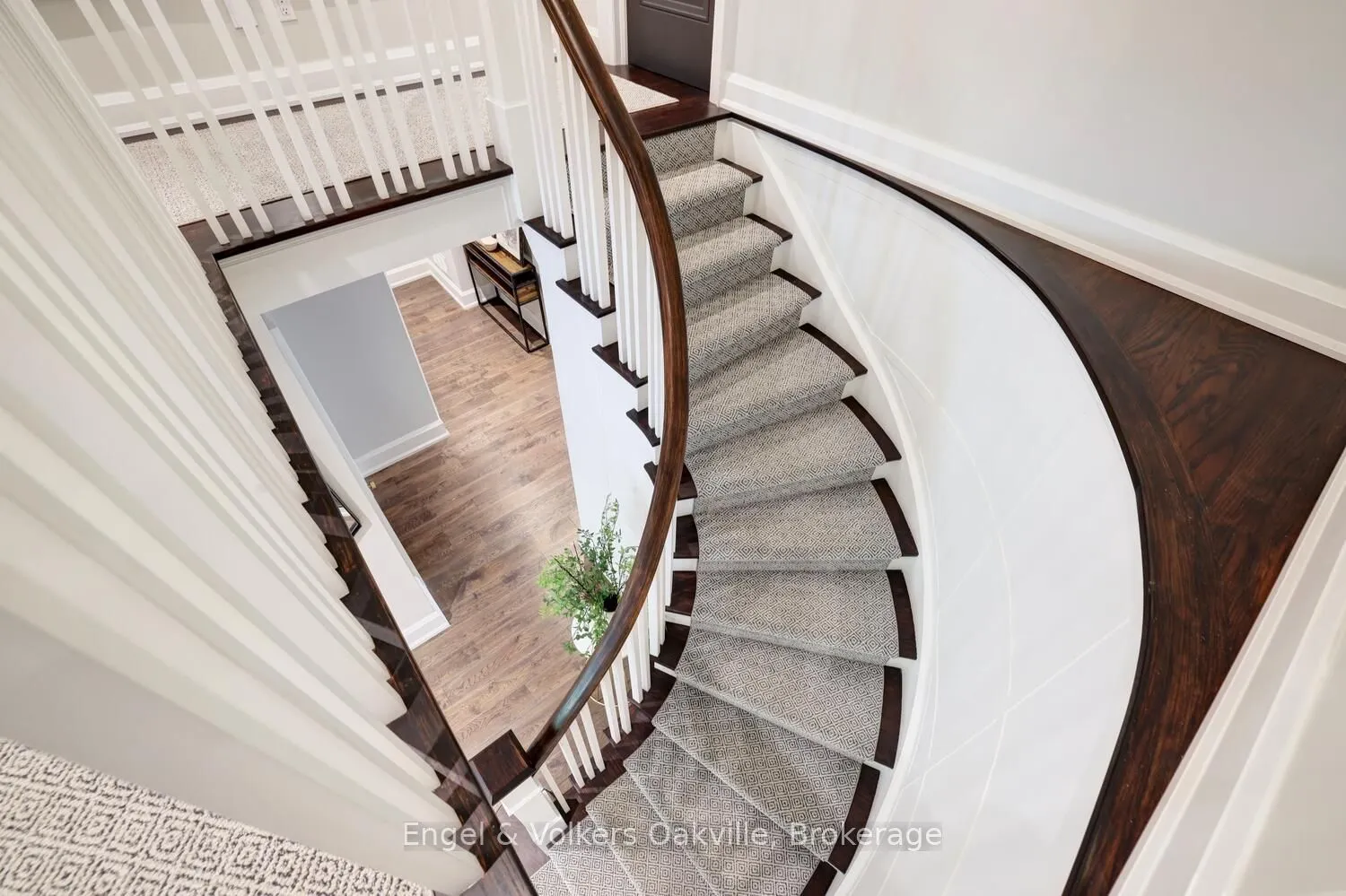 262 Vinova Court