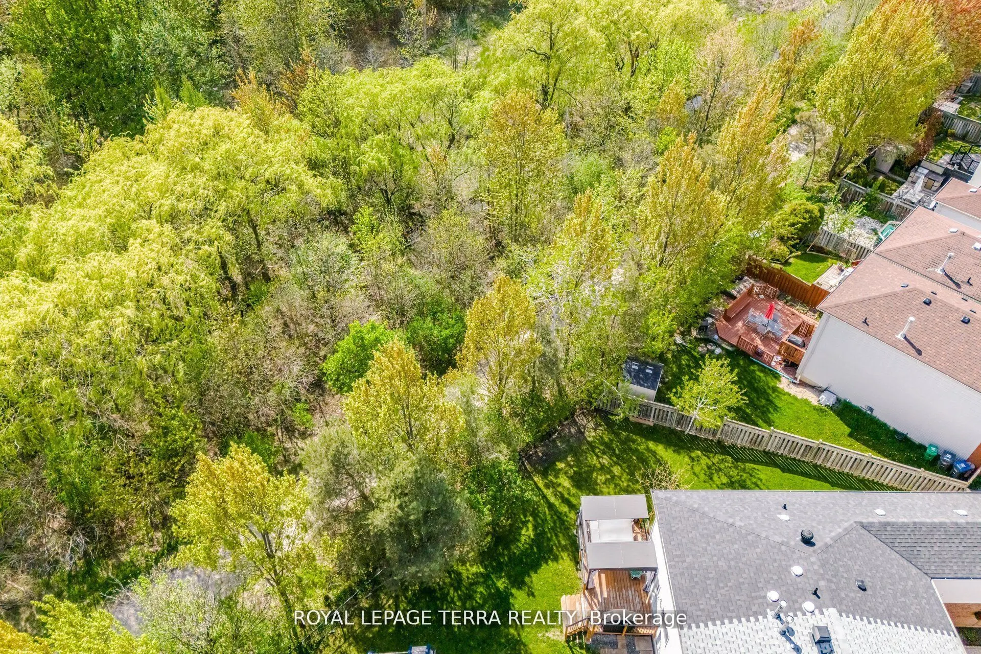 3407 Nighthawk Trail