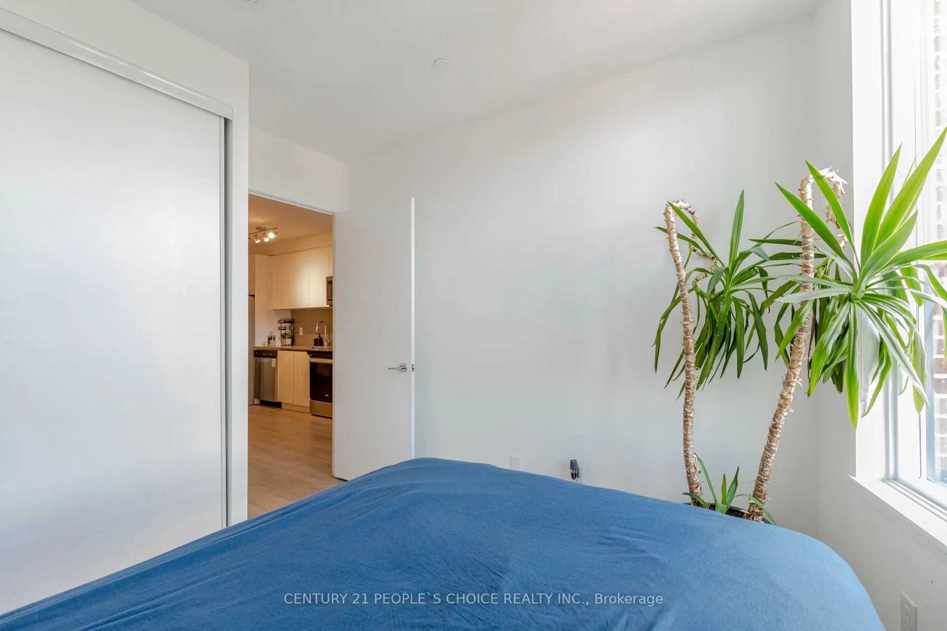 3100 Keele Street, #314