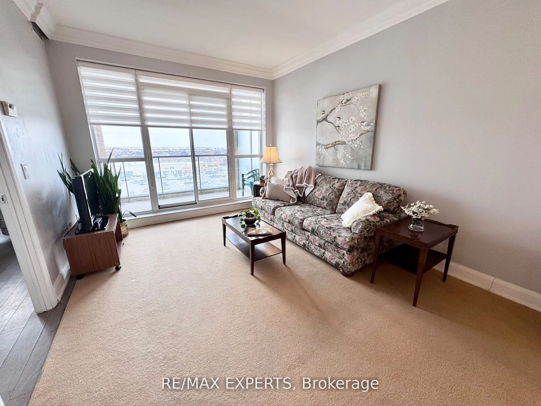 2480 Prince Michael Drive, #623