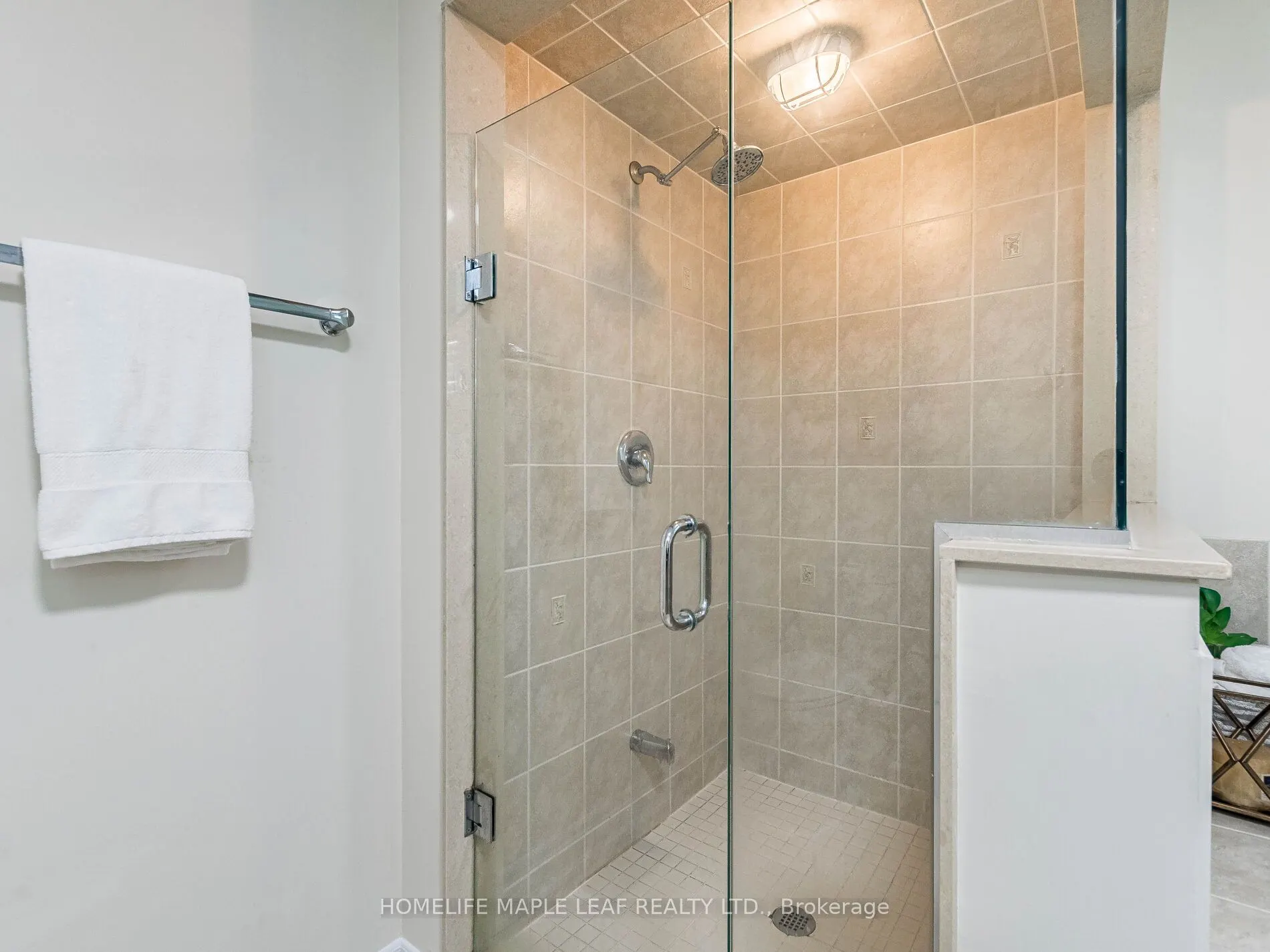 39 Birch Tree Trail