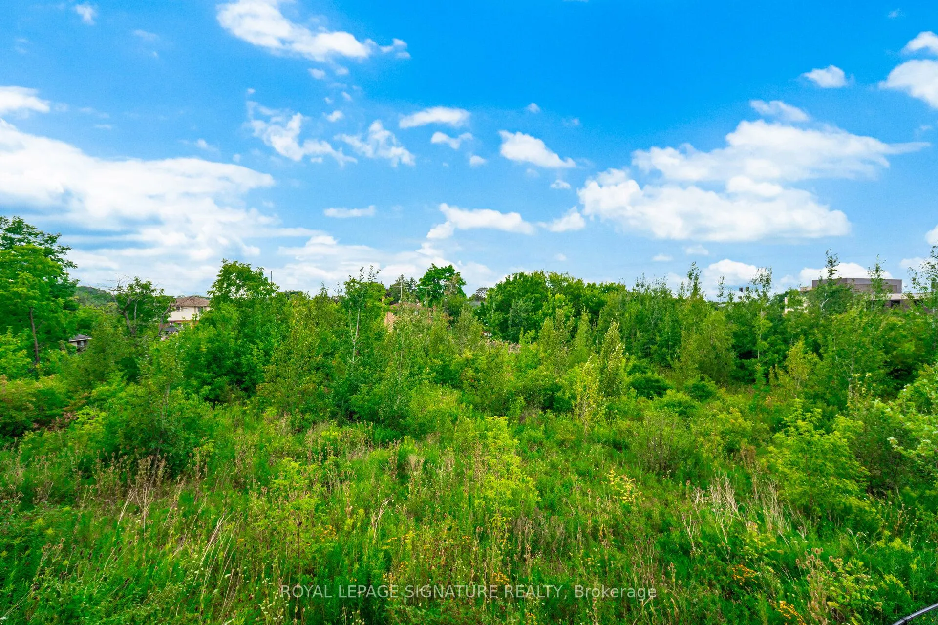 33 Whitmer Street, #204