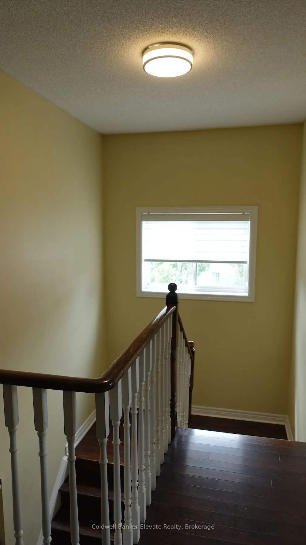 20 Goldnugget Road