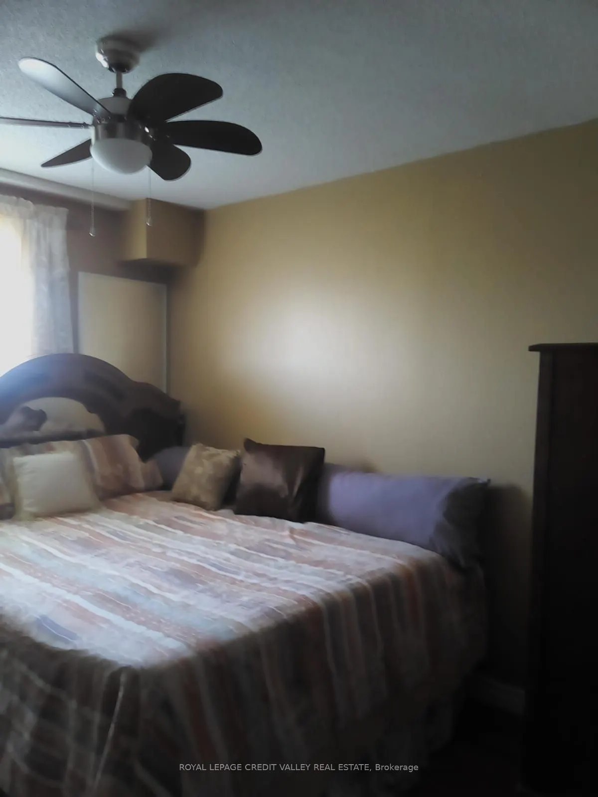 7405 Goreway Drive, #517