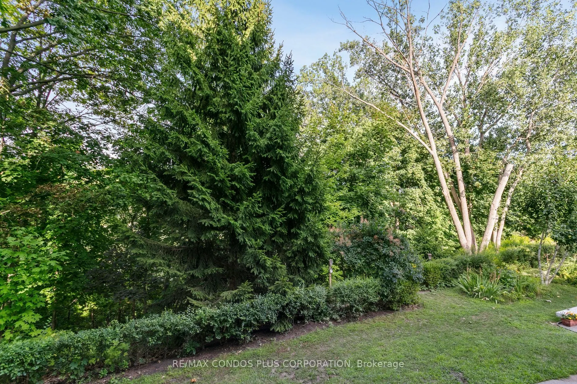185 Stephen Drive, #101