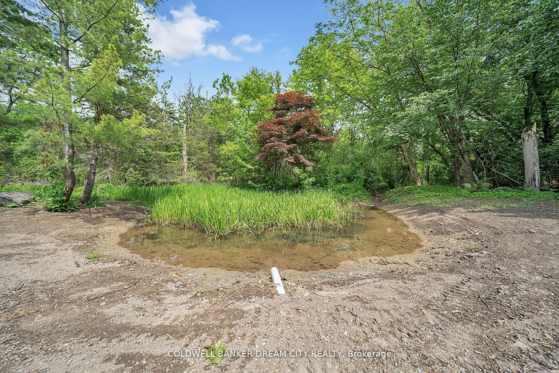 8295 Creditview Road N